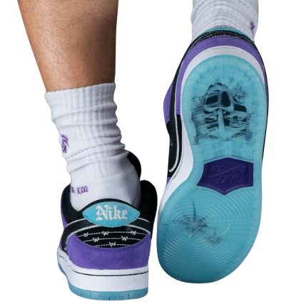 Hayley Wilson x Dunk Sb
