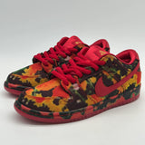 Nike Dunk SB Wizard of Oz