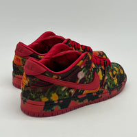 Nike Dunk SB Wizard of Oz