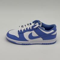 Nike Dunk Low Polar Blue V