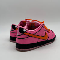 Nike SB Dunk Low Powerpuff Girl Blossom Supernana USED