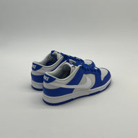 Nike Dunk Low Kentucky Alternate