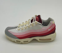 Nike Air Max 95 Anatomy of Air