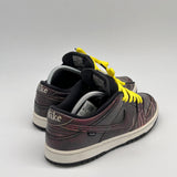 Nike SB Dunk Low Civilist USED