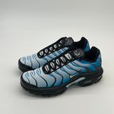 Nike Air Max Plus Blue Gradient