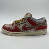 Nike SB Dunk Low Premium City Of Style USED